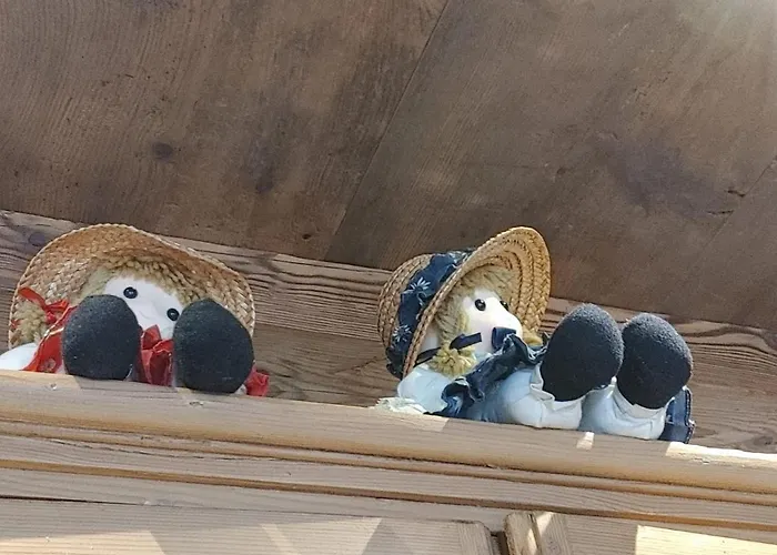 Nocleg ze śniadaniem A Ceda Toa San Pietro di Cadore