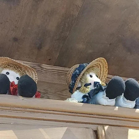 Nocleg ze śniadaniem A Ceda Toa San Pietro di Cadore