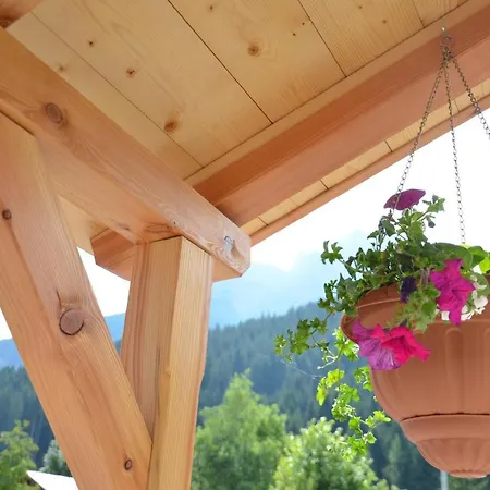 A Ceda Toa San Pietro di Cadore